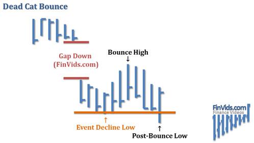 dead cat bounce